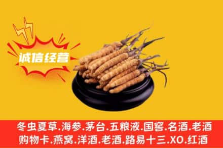 赣州回收冬虫夏草
